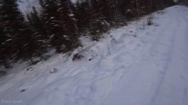 КОРОЛЕВСКИЙ ВЫСТРЕЛ! ХОДОВАЯ ОХОТА В ЗИМНЕМ ЛЕСУ///ДОБЫЛИ ТЕТЕРЕВА смотреть онлайн