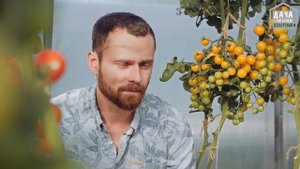 Посев Эустомы Как избавиться от черных мошек