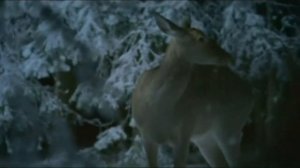 Dima Bilan - I remember you | Дима Билан - Я тебя помню