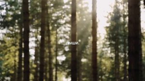 МЕДИТАЦИЯ В РОДЫ • 4 часа аффирмаций для мягкого раскрытия • проживаем схватки мягко