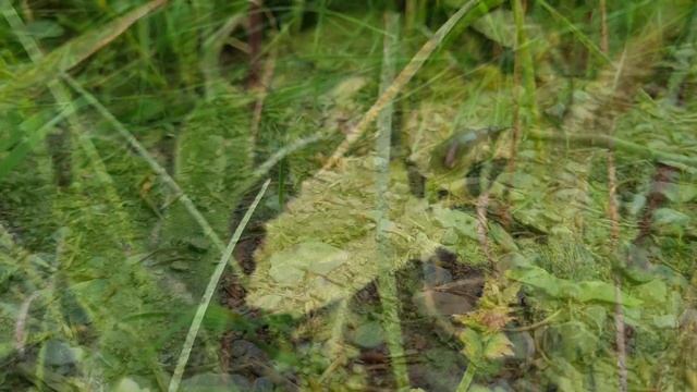 RELAX смотреть онлайн