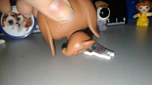 Моя коллекция вещей с БИГЛЕМ смотреть онлайн