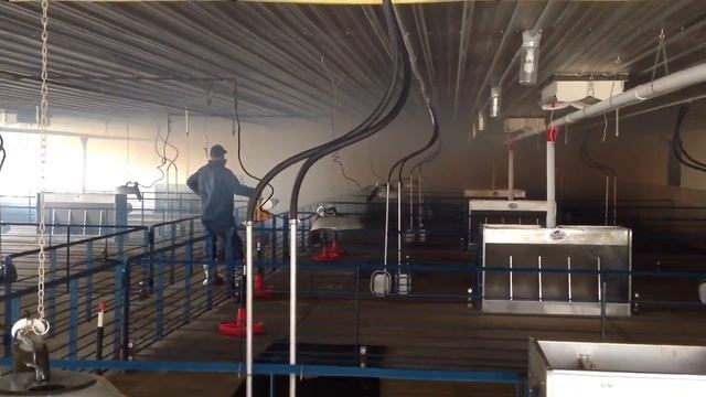 Вироцид и генератор тумана смотреть онлайн