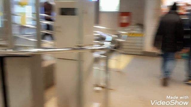 Санкт-Петербург. Петербургский метрополитен. От Станции Рыбацкое до станции Гостинный двор.