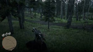 Где найти КАБАНА в RDR2 | Превосходная кабанья шкура