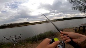 Попали на клёв огромных карпов! Трофейная рыбалка на карпа. Рыбалка с ночёвкой на монстров