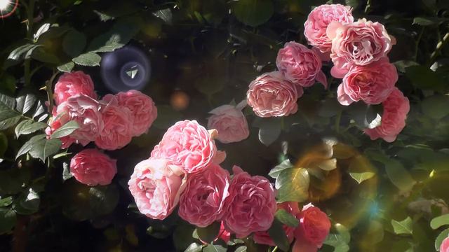 Безмерно Счастье Жить, Творить Во имя Общей Цели - Быть Единству! смотреть онлайн