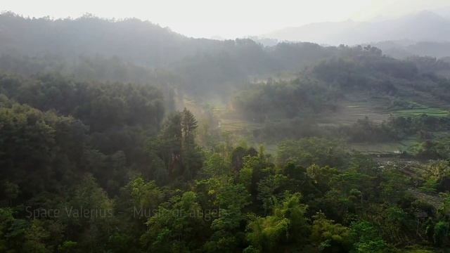 Исцеляющая музыка Ангелов | Healing music of Angels смотреть онлайн