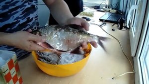 Как солить рыбу,лещ,язь ! Salt fish !