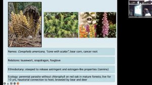 2022 Zahner Lecture: Plant & Fungal Support Networks on the Highlands Plateau