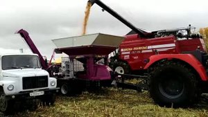 Плющение влажной кукурузы элеваторная Murska