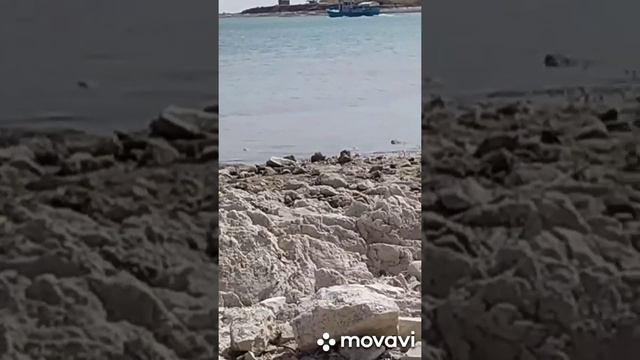 Мои находки за четыре дня поиска на пляже. Нашел цепочку металоискателем. #пляжныйпоиск