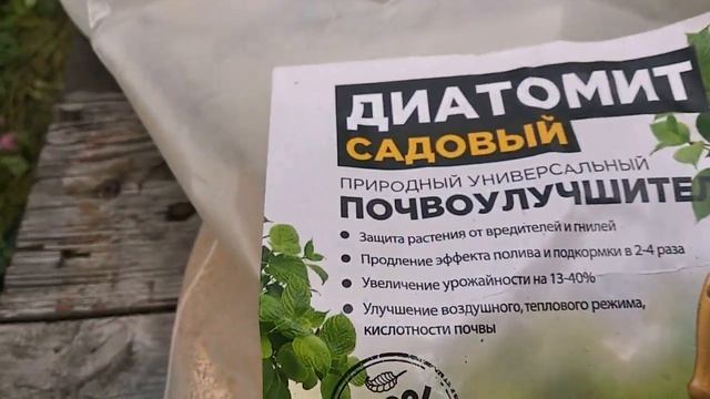 КАК Я САЖАЮ #ВИКТОРИЮ, ЧТО КЛАДУ В ЛУНКУ. смотреть онлайн