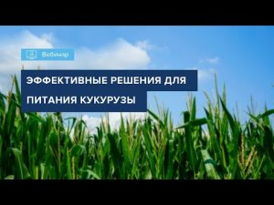 ВЕБИНАР 2022_ОСОБЕННОСТИ МИНЕРАЛЬНОГО ПИТАНИЯ КУКУРУЗЫ