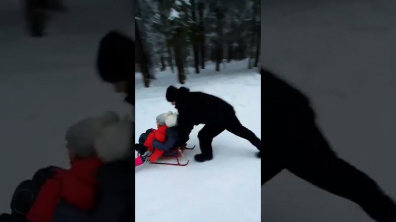 Василиса и Женя едут к зубрам