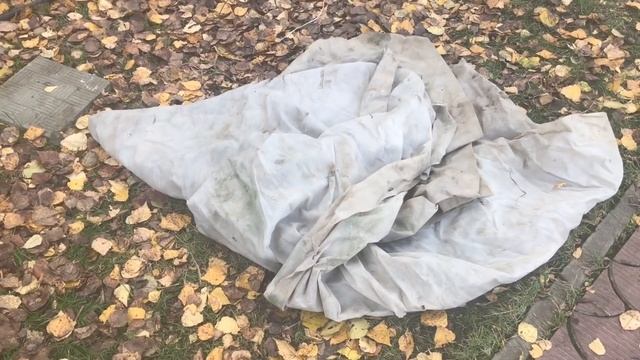 Крупнолистная гортензия укрытие на зиму подготовка к зиме смотреть онлайн