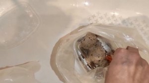 Корм для эублефара, как заморозить. Содержание эублефара