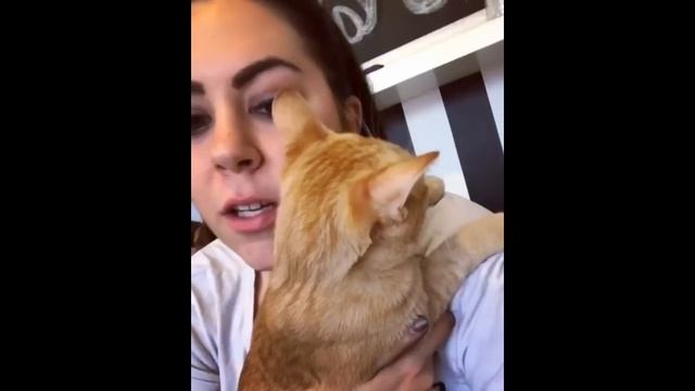 Instagram & Snapchat sneezes смотреть онлайн