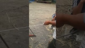 Камышовые маты в Казахстане,дешево и быстро