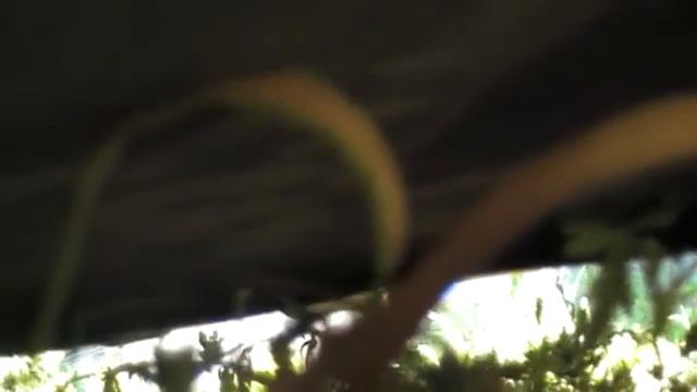 рвр затарахтел( смотреть онлайн