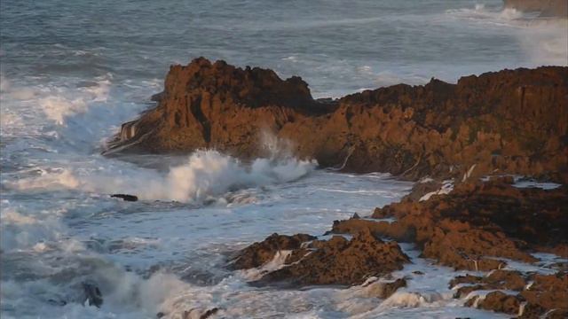 The Best Relaxing Bamboo Flute Music| Water Sounds For: Healing,Meditation,Sleep,Peace || Spa,Study смотреть онлайн