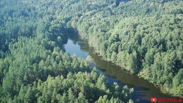 Ерминский пруд Пенза видео