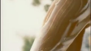 Реклама Palmolive Натурэль С оливковым молочком 2005