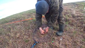 Рыбалка на КАРАСЯ в поганую погоду