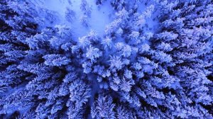 Зимние пейзажи.  Новогоднее настроение.  Сказочная музыка