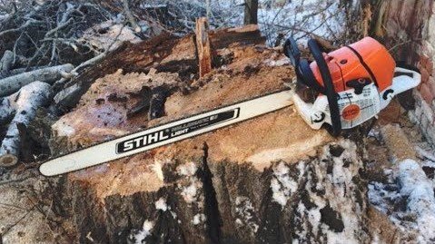 STIHL MS 661 Бензопила, шина SL 90 см, цепь 36 RS (в работе)