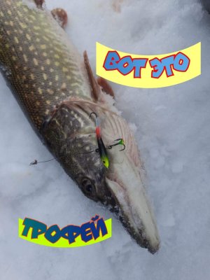 Поймал ТРОФЕЙ на этом озере. Зимняя рыбалка. Ловля щуки на балансир..