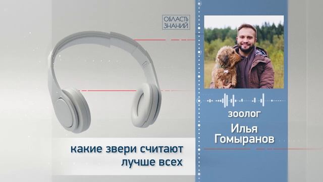 Какие звери считают лучше всех? Лекции зоолога Ильи Гомыранова