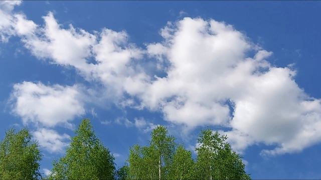 Весна в Луховицах (песня о городе)_песни 70-х 80-х_Вадим Ибрянов смотреть онлайн