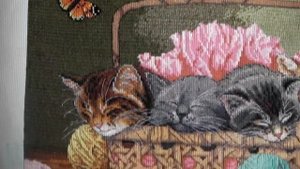 Котята в корзине  СП " Мой любимый Дименшенс" Завершение!