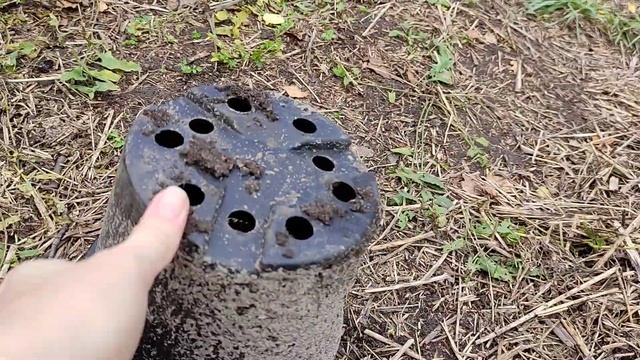 Капуста Мегатон F1. Выращивание от семян до урожая без химии смотреть онлайн