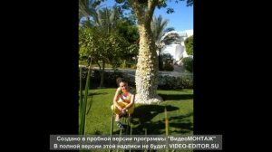 Египет Egypt Великолепный отдых в Египте на берегу Красного моря. Шарм-эль-Шейх. Часть 2.