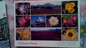 Новое хобби. Посткроссинг.Postcrossing. Коллекционирование открыток. Обзор почтовых открыток