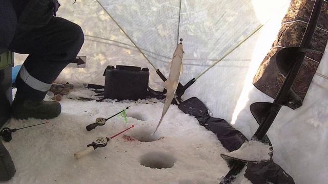 Отличная рыбалка 1 февраля 2024 г. смотреть онлайн