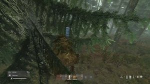 Обзор Dayz. Динамический лут грибов, фруктов