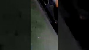 ПИРАНЬИ В ОЗЕРЕ ОСИНОВО