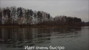 БАЙДАРКА ВЕКТОР