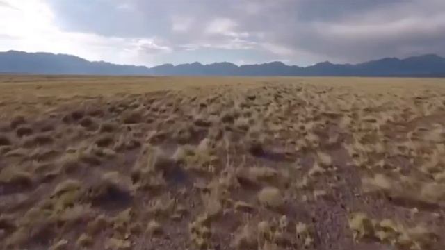 Русский язык 8 класс урок 54. К. Мырзалиев “ Красная книга”. Орыс тілі 8 сынып 54 сабақ смотреть онлайн