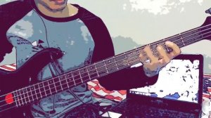 Kawaki wo ameku (Crying for rain) Ost Domestic no Kanojo - Minami - Bass Cover #basscover #anime