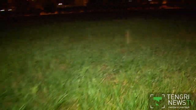 Астанчанам не стоит опасаться малярийных комаров смотреть онлайн