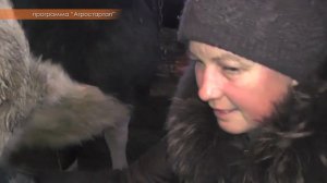 АГРОСТАРТАП