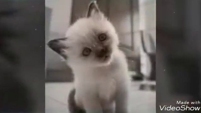 Капюшон на голову