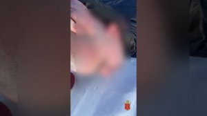 Полиция Петербурга ликвидировала канал контрабанды наркотиков из Прибалтики
