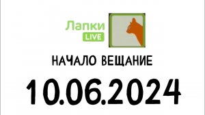 Начало вещание (Лапки live  Казахстан, 10.06.2024)