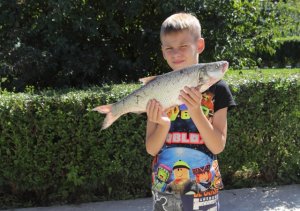 База Альпийская деревня отпуск 2023