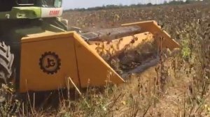 Комбайн косит подсолнухи